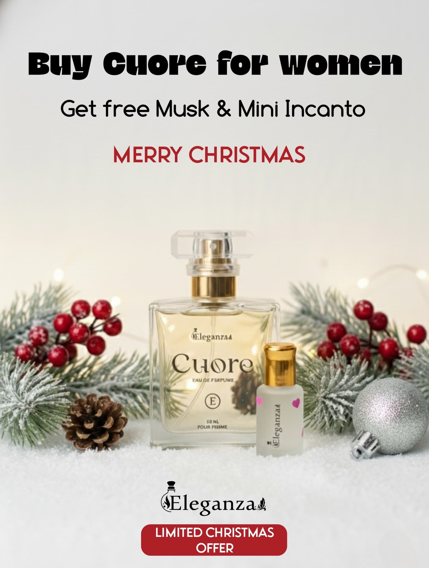 Christmas offers🔥