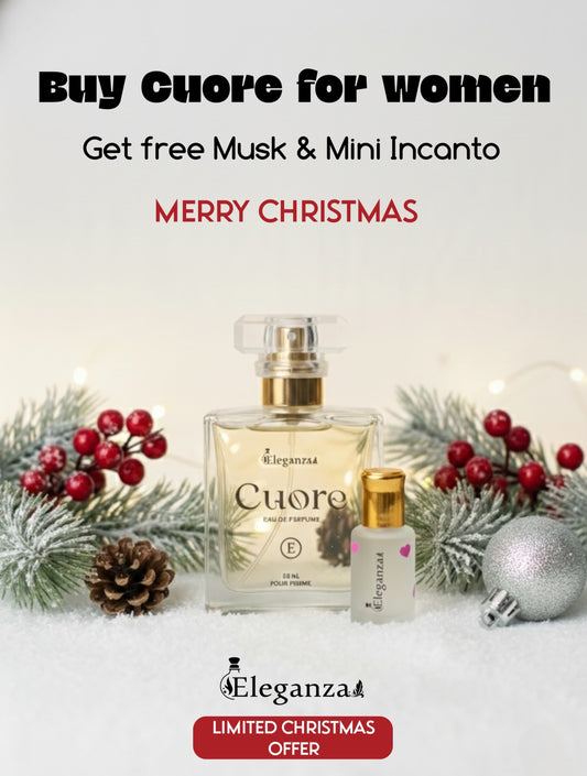 Christmas offers🔥